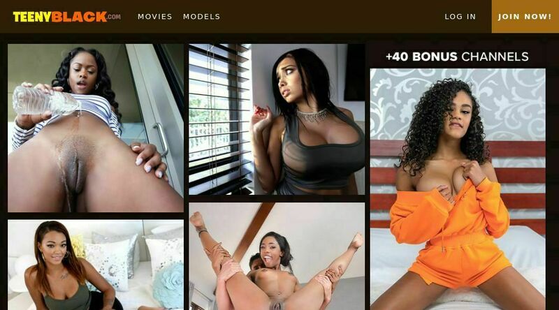 Great Ebony Porn - Best Ebony Porn Sites & Discounts - Discounted Porn